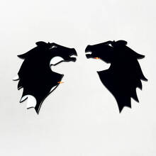 BRONCO Fender Badges Emblema del portellone del taglio 3D BADGE
 10