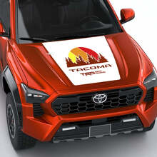 TOYOTA Tacoma Stripe vintage Mappa topografica Adesivi per portellone cofano laterale
 3