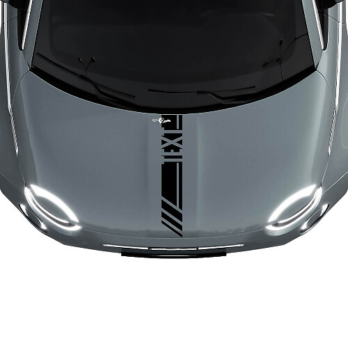 Adesivo Grafico Striscia da Corsa Personalizzata Cofano per Fiat 500