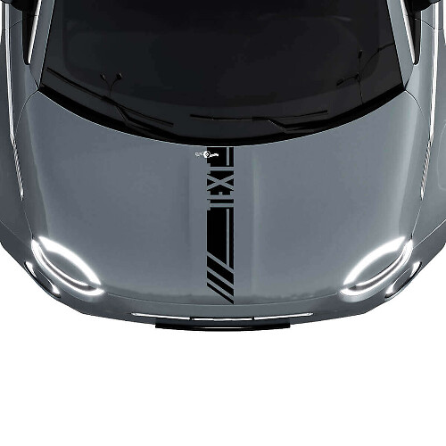 Adesivo Grafico Striscia da Corsa Personalizzata Cofano per Fiat 500