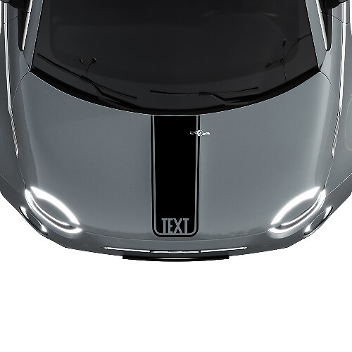 Adesivo grafica striscia centrale cofano personalizzato per Fiat 500