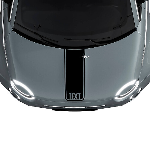 Adesivo grafica striscia centrale cofano personalizzato per Fiat 500 1