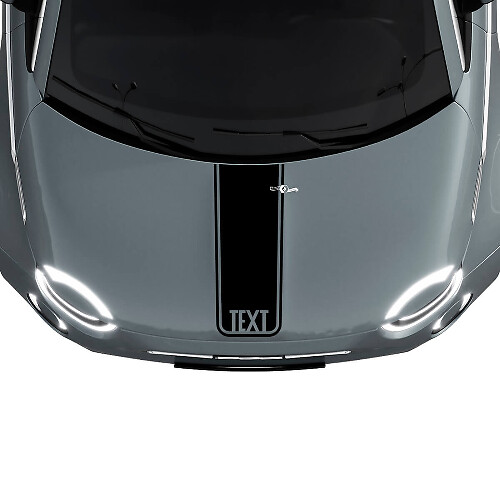 Adesivo grafica striscia centrale cofano personalizzato per Fiat 500