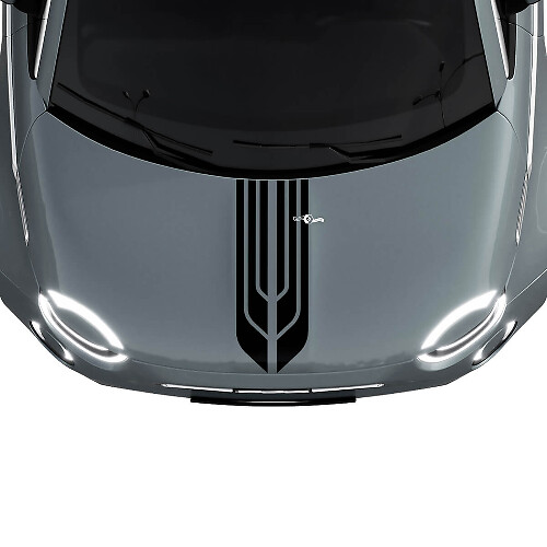 500 Striscia Decalcomania Adesiva a Doppia Striscia Centrale per Fiat 500
