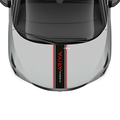 Adesivo grafico a strisce doppie per cofano per Nissan ARIYA
