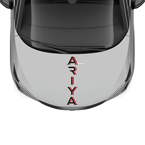 Adesivo grafico a strisce bicolore per cofano per Nissan ARIYA
 1