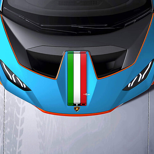 Strisce da corsa sul cofano Adesivo in vinile Grafica per Lamborghini STO

