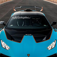 Striscia centrale del cofano logo STO Adesivo in vinile Racing Graphics per Lamborghini STO
 2
