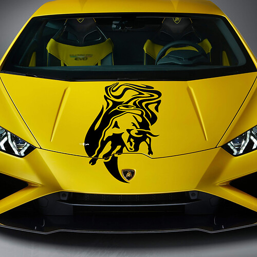 Adesivo in vinile per grafica del cofano per Lamborghini Huracan Evo
 1