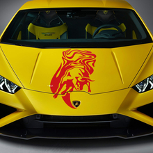 Adesivo in vinile per grafica del cofano per Lamborghini Huracan Evo
 3