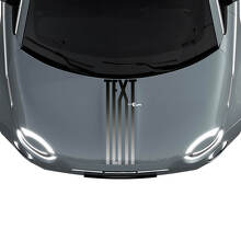 Adesivi Personalizzati a Strisce con Gradiente per Cofano per Fiat 500 2