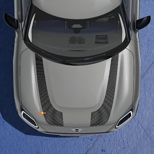 Adesivo Strisce Laterali da Corsa Gemelle per Mini Cooper Countryman 1