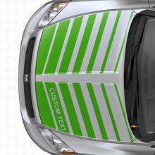 Set di Adesivi in Vinile a Strisce Dual Strobo Personalizzate per Cofano Dodge Caliber 2007+_3