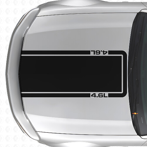 Adesivo in vinile a striscia contorno cofano 4.6L per Musclecar Musclecarmodel Mach 1 2005-09