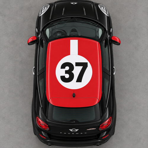 Adesivo in Vinile Tetto Rally Disc 37 per MINI Paceman R61 2013-2016_1