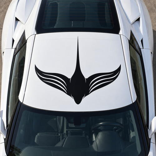Adesivo in vinile per tetto Ray Wake C7 Stingray per Chevrolet Corvette 2014_1