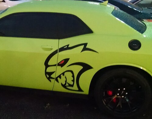 Kit Adesivi Laterali Stile Hallcat per Dodge Challenger