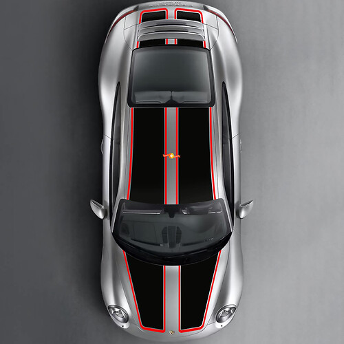 Strisce di bagagliaio del tetto a doppia corse per corse per i modelli Porsche 911
