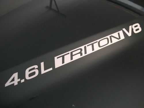 Coppia di decalcomanie in vinile per cofano 4.6L Triton V8 per camion Musclecar 1999-2010