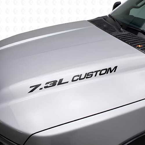 Nuovo adesivo stile emblema POWERSTROKE da 7,3 litri Musclecar F250 F350 Turbo Diesel
