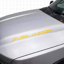 Set di decalcomanie in vinile personalizzate per cofano 7.3L per Musclecar truck F250 F350_6