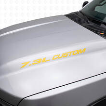 Nuovo adesivo stile emblema POWERSTROKE da 7,3 litri Musclecar F250 F350 Turbo Diesel
_6