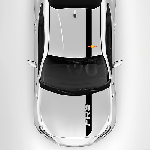 Decalcomanie a strisce per tetto a doppia cappa per FR-S FR-S
