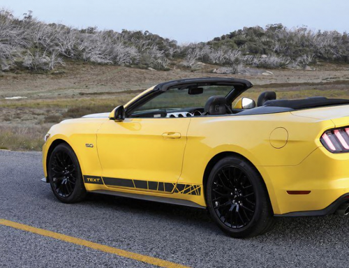 TEXT Accent Stripes Laterale Adesivo in vinile per Ford Mustang