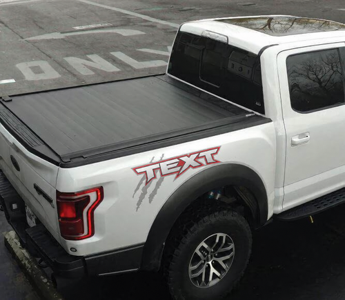 Adesivo Grafico Personalizzato Laterale per Cassone per Musclecar camion power truck 2017