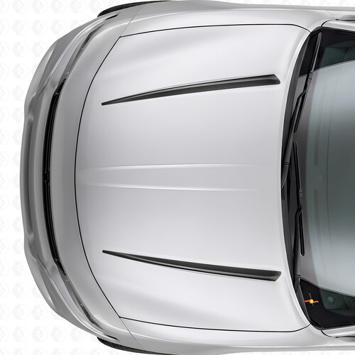 Adesivo Vinile Strisce Doppie Tnin Cofano per Dodge Charger 2015-2026