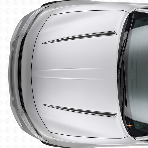 Adesivo in vinile per cofano con doppie strisce a contorno Twin per Dodge Charger 2015-2026