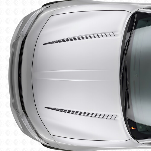 Adesivo Vinile Strisce Strobo Doppia Tnin per Cofano Dodge Charger 2015-2026_1