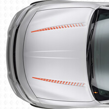 Adesivo Vinile Strisce Strobo Doppia Tnin per Cofano Dodge Charger 2015-2026_4