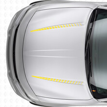 Adesivo Vinile Strisce Strobo Doppia Tnin per Cofano Dodge Charger 2015-2026_5