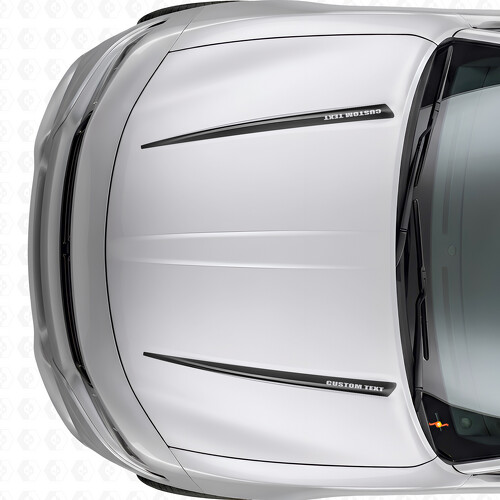 Adesivo in Vinile con Doppie Strisce Personalizzate per Cofano per Dodge Charger 2015-2026