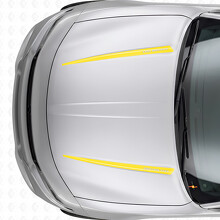 Adesivo in Vinile con Doppie Strisce Personalizzate per Cofano per Dodge Charger 2015-2026_5