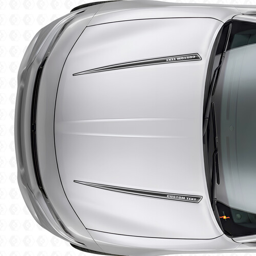 Adesivo in Vinile con Doppie Strisce Contorno Personalizzate per Cofano Dodge Charger 2015-2026