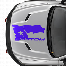 Adesivo in Vinile per Cofano con Bandiera Texas in Stile Usurato e Scritta per Dodge Ram 2015-17_2