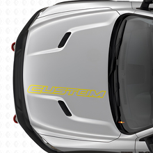 Adesivo Vinilico Personalizzato con Lettere Contornate per Cofano Dodge Ram Truck_6