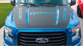 2017 New Ford F-150 Hood Blackout W/Ecoboost Vinyl Graphics Decal Stripes 15-17