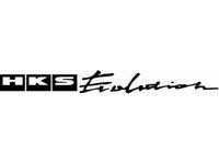 Adesivo in Vinile HKS Evolution per Auto