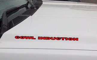 COWL INDUCTION Hood Vinyl Decal Sticker: Chevrolet Ford GMC Jeep (delineato)