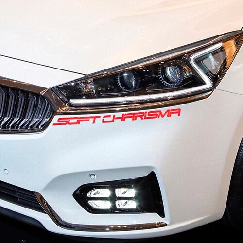 Scritta Decalcomania Emblema Logo Vinile Per Volkswagen