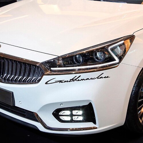 Adesivo in Vinile con Emblema Lettere per Ford