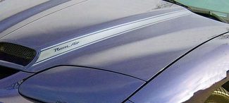 La grafica delle decalcomanie a strisce sul cofano Blackbird si adatta a Pontiac Firebird
