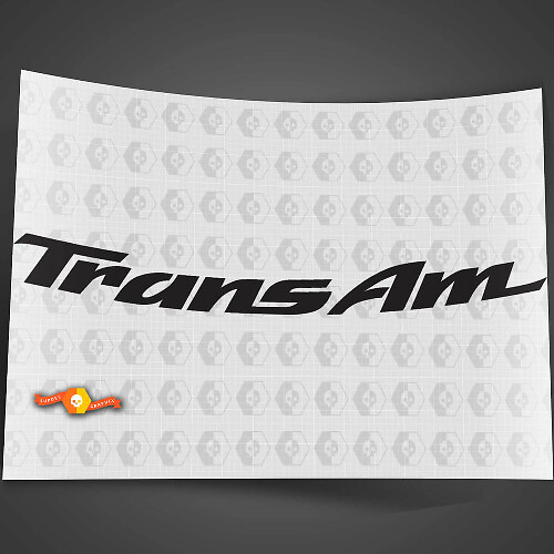 Adesivo in vinile per parabrezza Trans Am per Pontiac Firebird