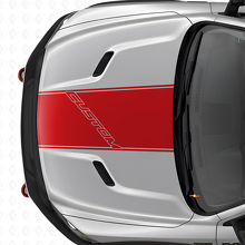 Adesivo in vinile con contorno a lettere personalizzate per striscia cofano Dodge Ram_4