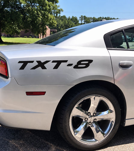 Scritta Passaruota Coppia Adesivo in Vinile Passaruota Posteriore per Dodge Charger 2023