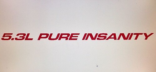 5.3L PURE INSANITY (3) Decalcomanie adesive per cofano per Chevy, GMC Silverado, Sierra
