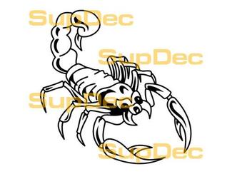 Scorpione Vinile Arte Parete Finestra Bagno Adesivo Decalcomania #14
